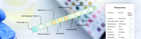 Автоматическая кодировка тест-полосок