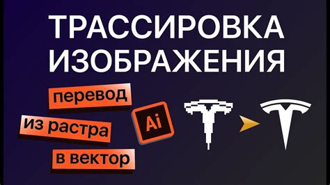 Автоматическое отключение вектор в Иллюстраторе