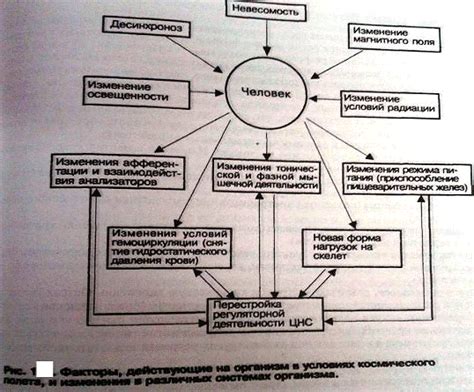 Адаптация организма к невесомости