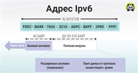 Айпи адрес: определение и принцип работы