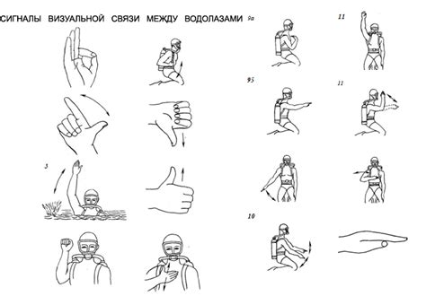 Акустические и визуальные сигналы