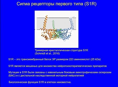 Альтернативные подходы к лечению Хилакобактериоза