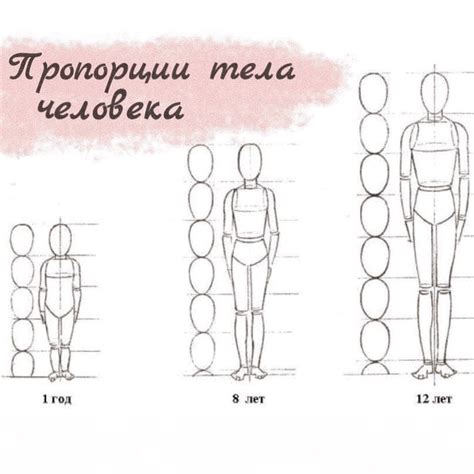 Анализ и построение пропорций