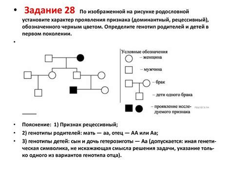 Анализ родословных