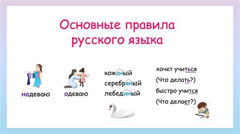 Анализ слова "экскаватор" по современным правилам русского языка