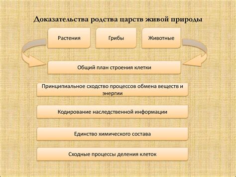 Анализ уровней: отличия и сходства