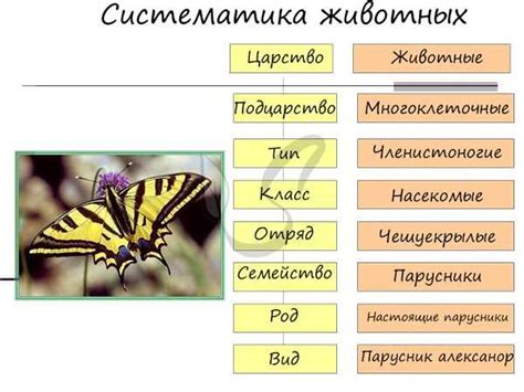 Астрологические особенности имени мужского пола