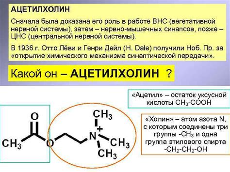 Ацетилхолин и его роль в организме