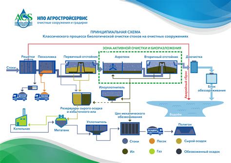 Биологическая очистка азилиума: экологически безопасный метод 