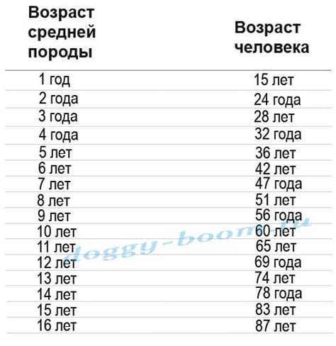 Биологические признаки возраста собаки