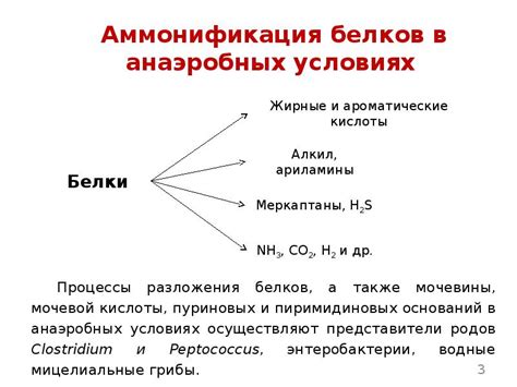 Биологическое удаление