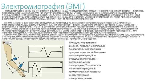 Блокировка нервных импульсов