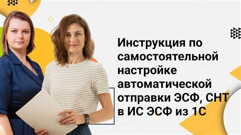 Важность Системы Налоговой Технической Информации (СНТ) для импорта в эсф