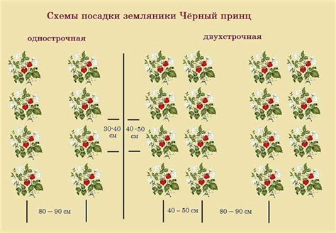 Важность выбора места для посадки