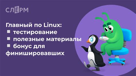 Важность знания версии PHP на Linux