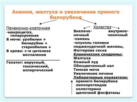 Важность измерения состава блюда