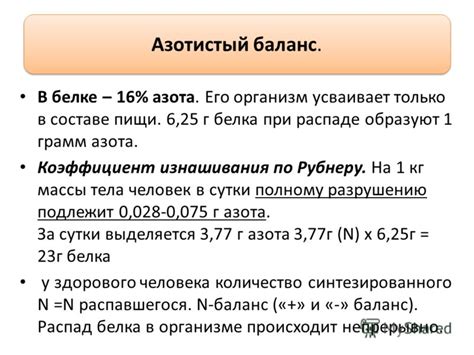 Важность изучения содержания азота в белке