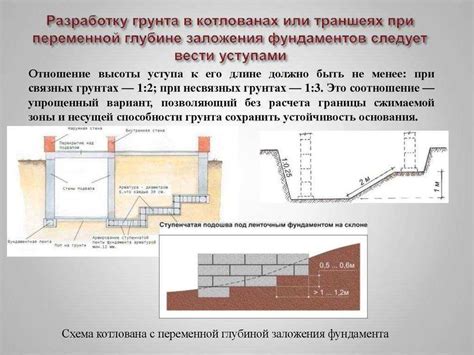 Важность определения окота