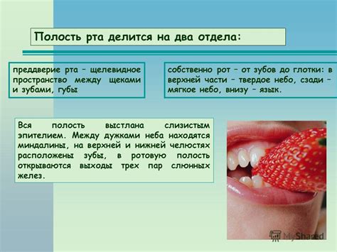 Важность правильного сохранения дат