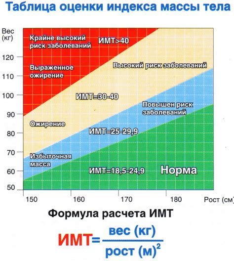 Важность расчета массы тела