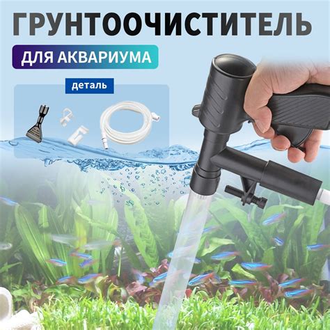 Важность регулярной смены воды в аквариуме