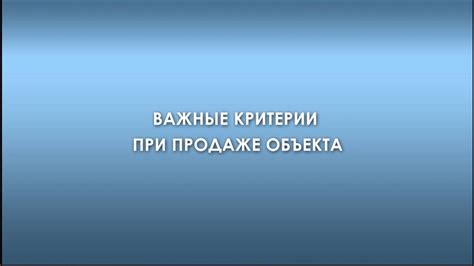 Важные критерии при выборе шеин для заказа в России