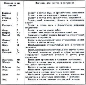 Важные элементы и их функции