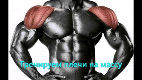 Вариация упражнений для развития мышц