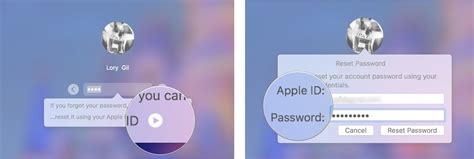 Введите свои Apple ID и пароль для входа