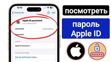 Введите свой пароль Apple ID