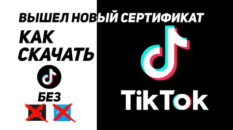 Вернуть новый TikTok: 7 способов для успеха