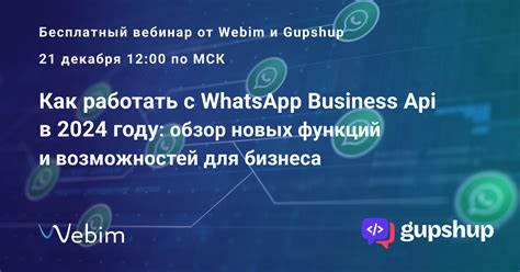 Видеовызов в WhatsApp: обзор функций и возможностей