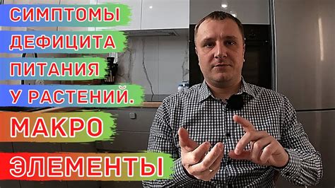 Визуальная оценка: