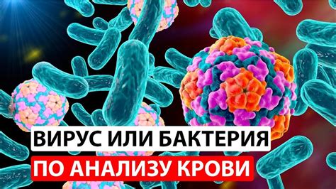 Вирусная инфекция на андроид-устройстве: как распознать и избежать проблем на Samsung