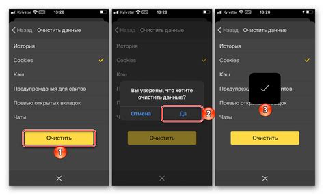 Включение cookies в Яндекс Браузере на iPhone