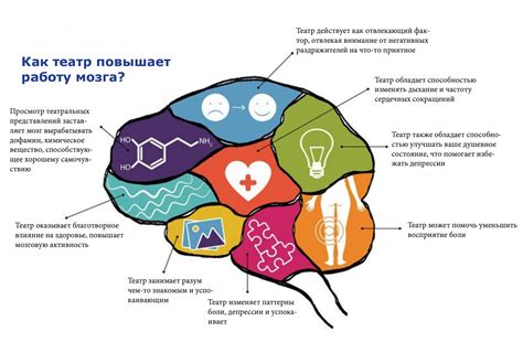 Влияние алтернативного сознания на работу мозга шамана