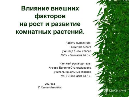 Влияние внешних факторов на работу рабочего листа