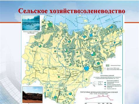 Влияние географического расположения на определение юга