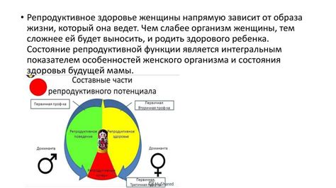 Влияние гонадотропина на репродуктивную систему