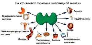 Влияние дипроспана на организм