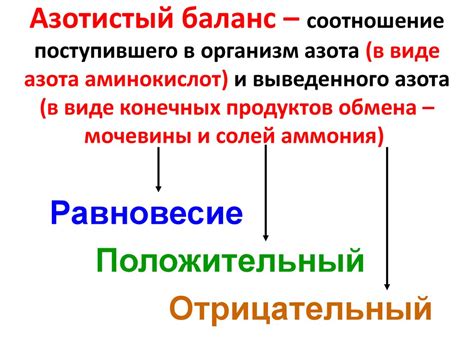 Влияние различных пищевых продуктов на азотистый баланс