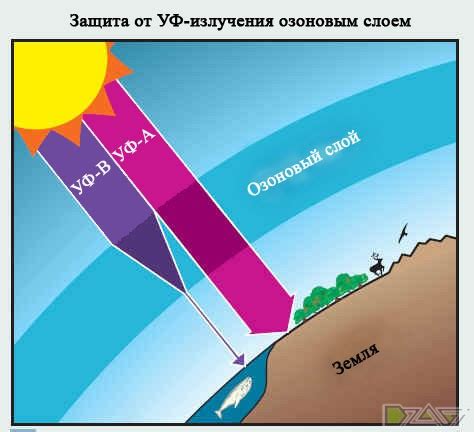 Влияние ультрафиолетового света на растения