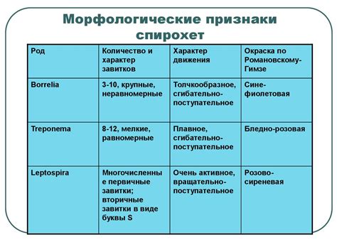 Внешние особенности и морфология