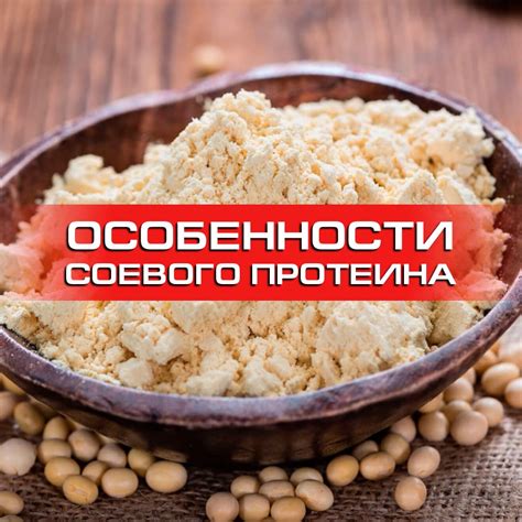 Внешние признаки качественного соевого протеина