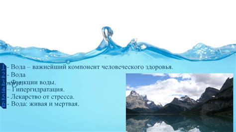 Вода: основной компонент ухода