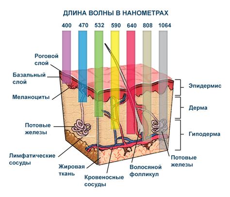 Воздействие на кожу