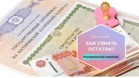 Возможности онлайн-проверки остатка материнского капитала