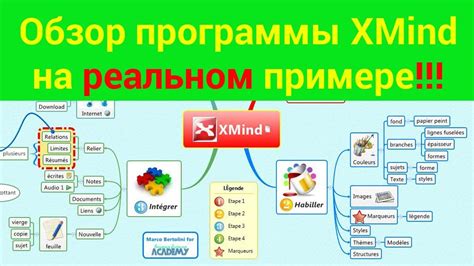 Возможности программы Xmind для эффективной работы