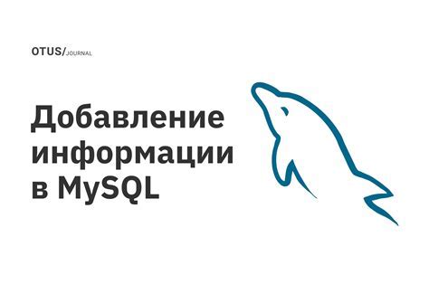 Войдите в MySQL командой