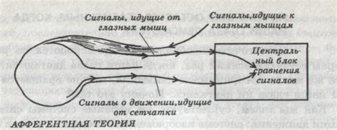 Восприятие и обработка сигналов